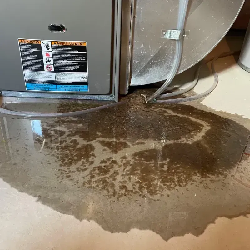 Appliance Leak Cleanup in Itasca County, MN